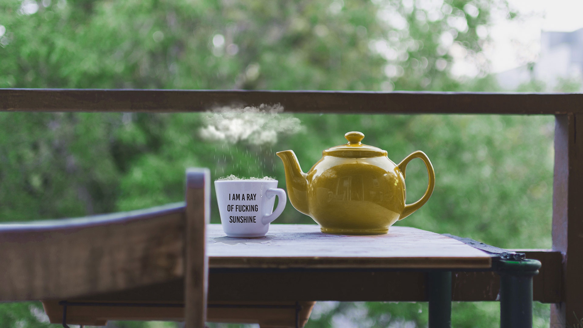 A weekend with Mr. Cha